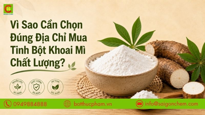 Vì sao cần chọn đúng địa chỉ mua tinh bột khoai mì tại TPHCM?